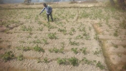 Aerinox Agrochem on Reels