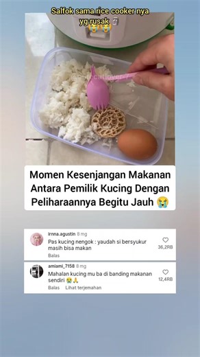 Mahalan makanan kucing nya 😭#kucinglucu #viral #trending #funny