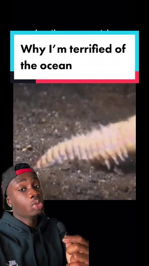 Terrifying Encounters with Ocean Worms Explained