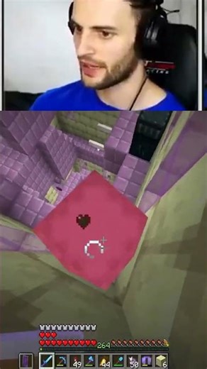 Hidden Treasures in the End Elytra Unlimited Shulker Boxes #shorts #minecraft #sb737 #gaming #mcpe