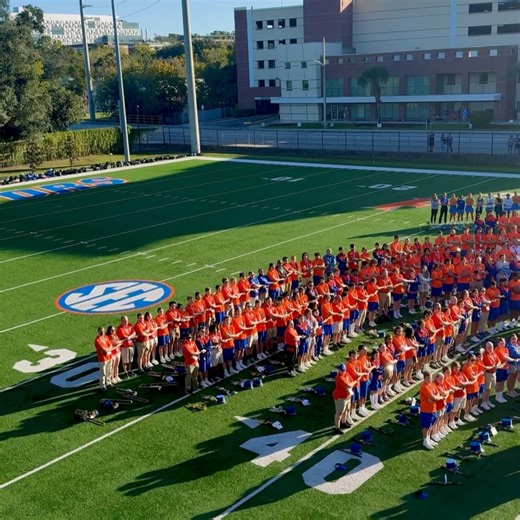 Fightin' Gator Marching Band on Reels