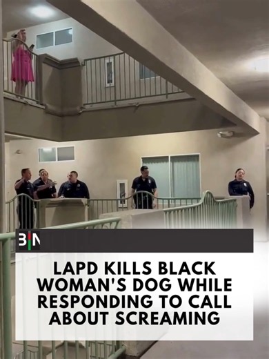 Marie Marseille, a lifelong Knicks fan who lives in Los Angeles, was celebrating the team’s NBA championship when a neighbor mistook her cheers for distress and called 911. When officers arrived, her dog, Jameson, ran outside and was fatally shot by police. The LAPD said Jameson “charged” at an officer, but Marseille disputes that account. “He wasn’t growling. He wasn’t aggressive,” she told Fox 11 News. (🎥: TikTok/luxorareels_)