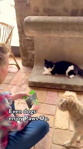 My first #PawsUpClub box is here! Let’s see what Monkey & Jinx think. Inside October’s box: @catamazingtoy is the original cat toy and puzzle feeder seen on Shark Tank! @bestfriendsanimalsociety’s plant-based Pet Celebration Cake Kit has everything you need to make a pet- and people-friendly cake in minutes. The all-natural, easy roll-on Nose Paw Moisturizer from @kinandkind instantly relieves dry and cracked noses and paws. Enjoy the official Paws Up Club coloring book from @helloharlot, an LA-