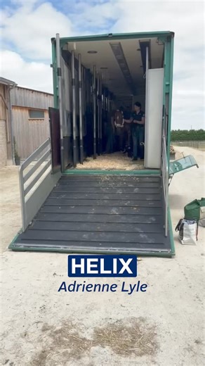 191K views · 2.8K reactions | #USADressage making a pit stop at training camp before heading to Chateau de Versailles for the Olympic Games. 朗 #TeamUSA | #Paris2024 | USA Dressage | Facebook