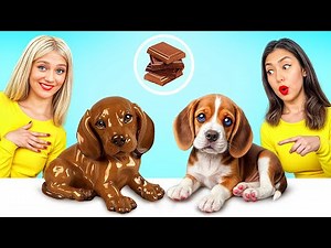 Chocolate vs Real Food Challenge | Best Food War with Sweets by Candy Land