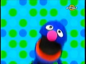 Play With Me Sesame | The Groverelli - Hungarian