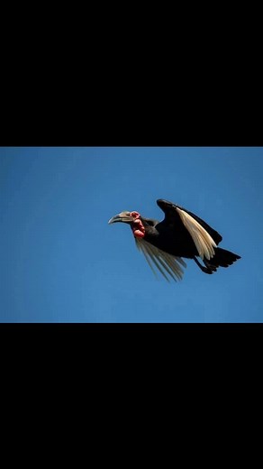 1.5K views · 27 reactions |  Mana River Camp – Mana Pools National...