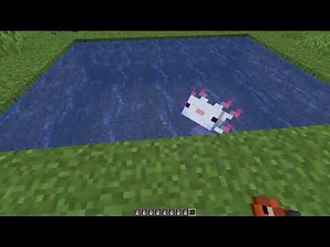What Do Axolotls Eat in Minecraft