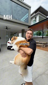 He’s paying RM10K mortgage per month for a house designed around his lifestyle 🏠❤️✨ #malaysiahomie #malaysia | Malaysia Homie