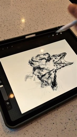 Frill Lizard Drawing with Procreate