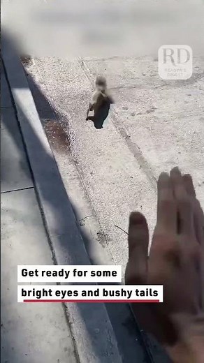 Man Shows How to Call Squirrels