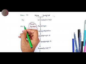 Heme Synthesis | Mnemonics | Doctor Z