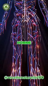 76K views · 12K reactions | Découvrez ce qui arrive au corps d’un homme s’il boit du lait au curcuma tous les jours pendant 2 semaines 拏✨ Un remède naturel aux effets incroyables sur les articulations, le système immunitaire et l’énergie  #curcuma #bienetresanté #remèdenaturel #nutrition | recettenaturelle | Facebook