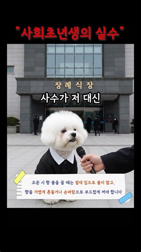 사회초년생인 거 바로 들키는 이유 #강아지쇼츠 #강아지영상 #사회초년생 #사회생활꿀팁 #ai쇼츠 #눈치 #귀여운강아지 #현실공감 #눈치게임 #회사생활 #직장인공감