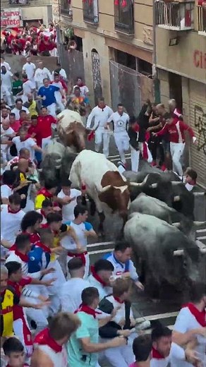 Thousands Run with Wild Bulls in Pamplona | San Fermin Festival 2025 #bulldodging #bull #bullrun