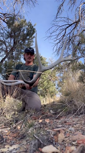 Dezert Runners on Instagram: "solo overnight shed hunt from a couple weeks ago! Are you out finding sheds this time of year?"