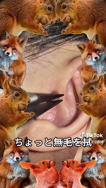 耳垢掃除の満足動画とASMR体験
