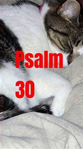Psalm 30 reading