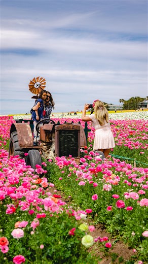 The @the_flower_fields at Carlsbad are officially open, and the hills are alive with color! 💐 Through May 10, millions of ranunculus are in full bloom, creating sweeping fields of vibrant reds, pinks, oranges, and yellows that make for the perfect springtime escape. Stroll along the winding paths, meet vibrant fliers in the Butterfly Encounter, snap photos among the flora, take in the Glass in Flight sculpture exhibit by artist Alex Heveri, and even enjoy the new Pop-Up Market with local vendor