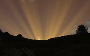 Tokidoki独角兽家专场—好物分享、盲盒开箱