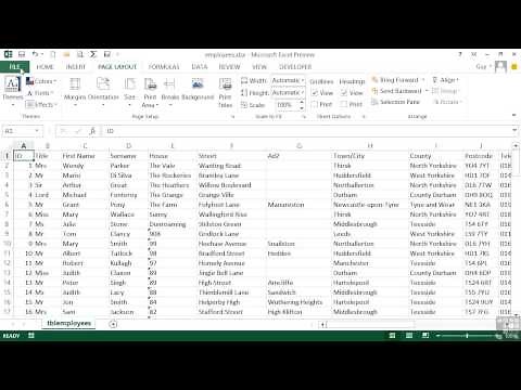 Microsoft Excel 2013 Tutorial | Using Print Titles And Print Areas