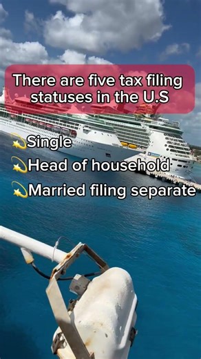 The 5 Tax Filing Statuses in the U.S. #tax #taxseason #taxpreparation #taxexpert #financialliteracy