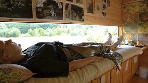 The therapeutic sound of Slovenian bees