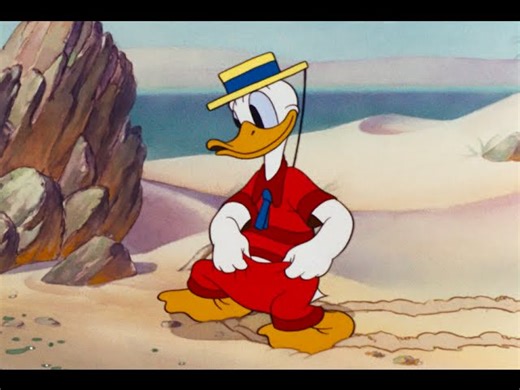 Donald Duck Beach Classic - CR Blends