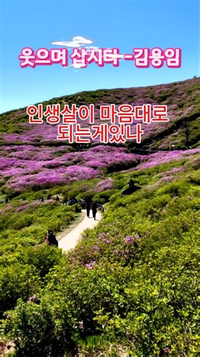 웃으며삽시다 김용임 #웃으며삽시다김용임, #웃으며삽시다, #김용임, #트로트, #노래, #합천핫뜰생태공원, #합천여행, #korea, #shorts,