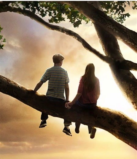 Flipped Movie Editing: A Look at Netflix Availability