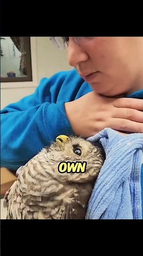 She Saved A Baby Owl… Then It Returned 🥺 #shorts