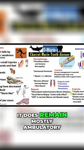 Charcot-Marie-Tooth Disease: Prognosis and What to Expect #shorts