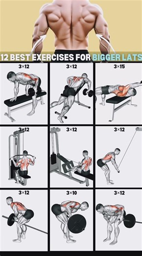 Most Effective Lats Exercises for a V-Shape Body 🔥