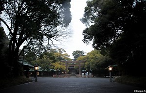Meiji-jingu - Le grand sanctuaire de Tokyo au cœur de Yoyogi