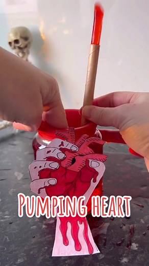Make your own pumping heart 🫀 #science #stem #experiment