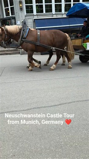Tour in Germany #travel #travelling #munich #shortsfeed #traveler #viral #trending #shorts