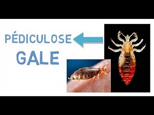 INTRODUCTION A L’ENTOMOLOGIE