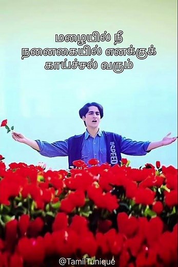 Roja Roja Song | Kadhalar Dhinam | A.R. Rahman | Unnikrishnan | HD #tamillyrics