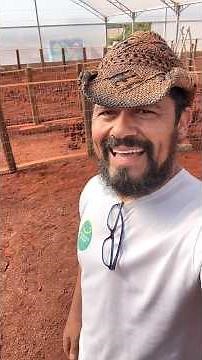 Super Intensive Fish Farming! Using the “Ras” System with a density of 50kg per m3