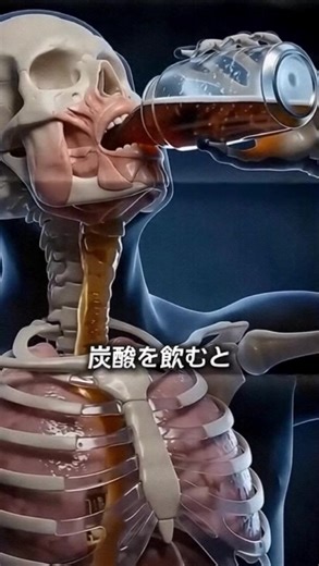 空きっ腹にコーラを飲んではいけない理由