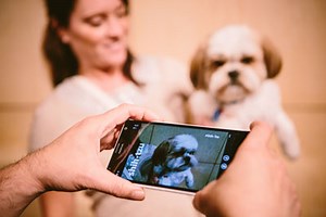 AI breakthrough: Microsoft’s ‘Project Adam’ identifies dog breeds, points to future of machine learning