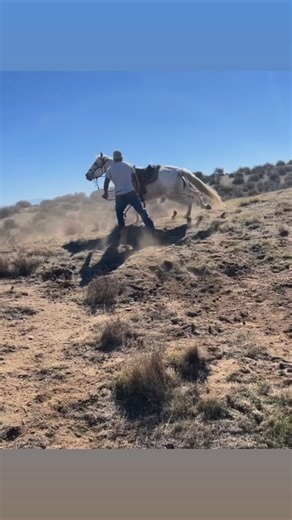 #country #horses | Kenneth Whitmore