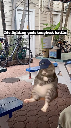 33K views · 885 reactions | Bro got the poop sweats #memes #heavyequipment #meme #skilledlabor #hardwork #bluecollar #catmemes #funnycats #contractors #contractorlife #dirtyjobs #explorepage #bluecollarpride #cats #cat #construction #constructionworker #trades #constructionfails #constructionfail #hardhat #hardhatstickers #plumbing #electrician #plumber #welder #welding #carpentry #mechanic | Catswithhardhats | Facebook