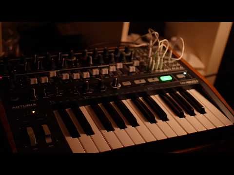 Something Quiet | Arturia MiniBrute 2 | Generative Ambient