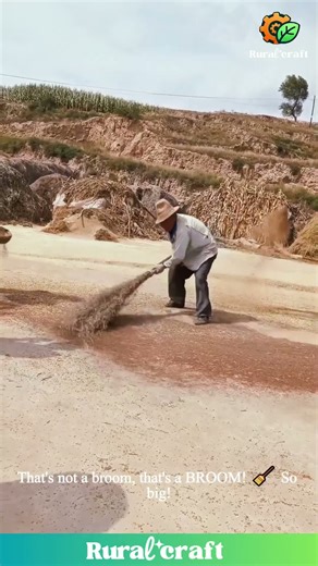 Forget a Leaf Blower, They're Using the WIND to Clean Grain! 😂This is PEAK Farmer Ingenuity! #funny