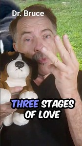 One Dog, Three Life Stages