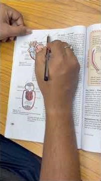 CBSE Class 10 - Science - Life Processes - Important Questions