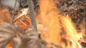 2.2K views · 16 reactions | Scott Cates, pastor of Liberty Baptist...