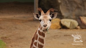 42K views · 5.7K reactions | Annnnnnnd we’re open! We were so excited...