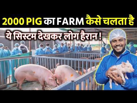 👉Modern Pig Farm Of india 🐽 |Biosecurity System Explained।।Pig Farming Training Pune Maharastra🎓🐖